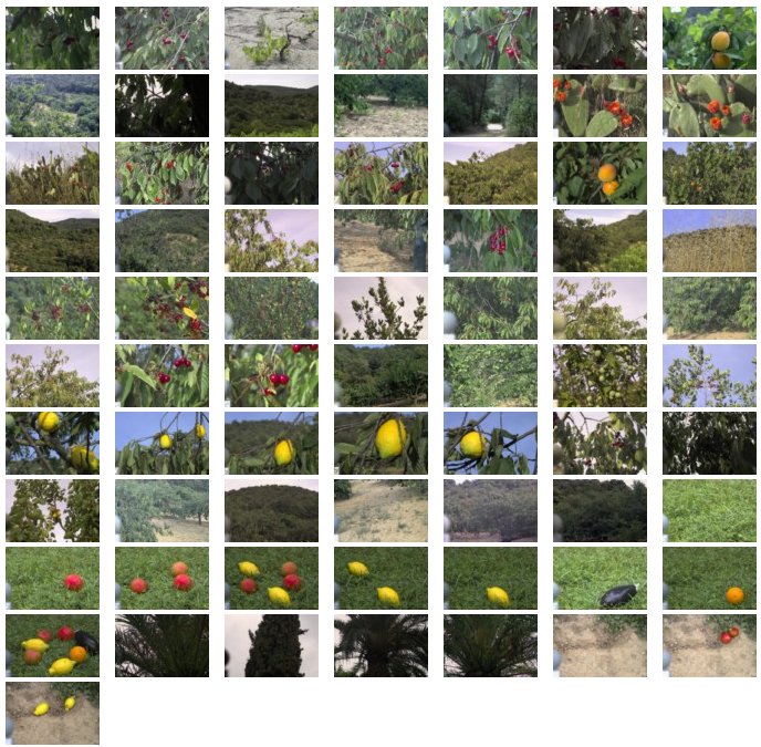 fruit dataset