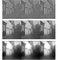 Discrimination_of_changes_in_the_slope_of_the_amplitude_spectra_of_complex_visual_images_by_human_observers_may_require_comparison_of_contrast_between_different_spatial-frequency_bands.jpg [29Ko]