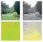 Stimuli_based_on_natural_scenes_for_studying_the_contributions_of_luminance_and_colour_to_human_spatial_vision.jpg [12Ko]